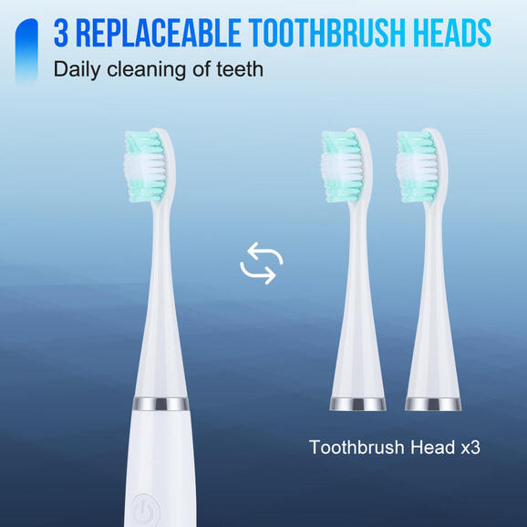 Oral Hygiene Tool UAE 